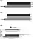 Fig. 02 - Positively-charged body for triboelectric generator and triboelectric generator including the same