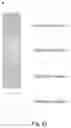 Fig. 06 - Information sending, information determining and relationship determining methods and devices