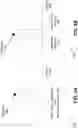 Fig. 04 - Systems and methods for beamformed uplink transmission