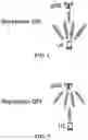 Fig. 02 - MEASUREMENT METHOD AND DEVICE