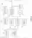 Fig. 05 - UE to UE crosslink interference measurement and reporting