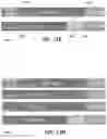 Fig. 12 - Latency optimization in partial width link states