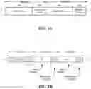 Fig. 02 - Reference signal sequences in time domain data