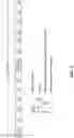 Fig. 07 - Reference signal sequences in time domain data