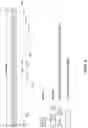 Fig. 09 - Reference signal sequences in time domain data
