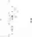 Fig. 23 - Inferring radio type from clustering algorithms