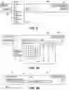Fig. 12 - Networking data analysis in a visual spreadsheet