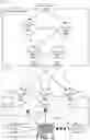 Fig. 03 - Equal cost multi-path (ECMP) failover within an automated system (AS)