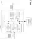 Fig. 03 - Security data points from an electronic message