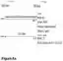 Fig. 06 - Node, another node, and methods performed thereby for supporting domain name system over constrained application protocol