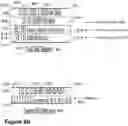 Fig. 07 - Node, another node, and methods performed thereby for supporting domain name system over constrained application protocol