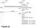 Fig. 08 - Node, another node, and methods performed thereby for supporting domain name system over constrained application protocol