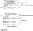 Fig. 09 - Node, another node, and methods performed thereby for supporting domain name system over constrained application protocol