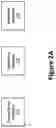 Fig. 10 - Endpoint bypass in a proxy network