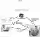 Fig. 15 - Systems and devices for encrypting, converting and interacting with medical images