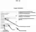Fig. 21 - Systems and devices for encrypting, converting and interacting with medical images