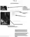 Fig. 23 - Systems and devices for encrypting, converting and interacting with medical images