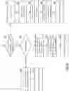Fig. 19 - SECURE AND TRUSTED CONVEYANCE FROM USER COMPUTING DEVICE TO MERCHANT COMPUTING ENTITY
