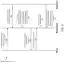 Fig. 05 - Method and system for contextual access control