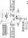 Fig. 10 - Dynamic security scaling