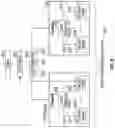 Fig. 18 - Load balancing reset packets