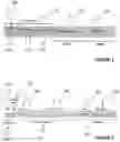 Fig. 03 - Location-based publication over a cellular network