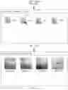 Fig. 23 - Image classification method and electronic device