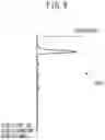 Fig. 10 - IMAGE READING APPARATUS FOR DETECTING END PORTION OF FRONT END OR REAR END OF MEDIUM