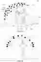 Fig. 05 - Programmable rig control for three-dimensional (3D) reconstruction