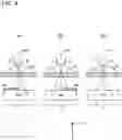 Fig. 05 - Focus detection device, imaging device, and interchangeable lens