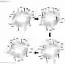 Fig. 12 - Camera module having a tiltable filter