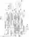 Fig. 12 - Information processing apparatus, information processing method, and program