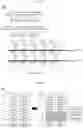 Fig. 10 - METHOD AND APPARATUS FOR IMAGE ENCODING/DECODING