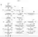 Fig. 16 - METHOD AND APPARATUS FOR IMAGE ENCODING/DECODING