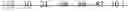 Fig. 119 - Method and device for processing video signal