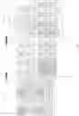 Fig. 21 - Efficient lossless compression of captured raw image information systems and methods