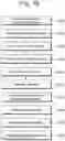 Fig. 20 - Inter prediction-based image coding method and apparatus
