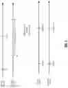 Fig. 05 - MULTI-DISPLAY VIDEO SYNCHRONIZATION