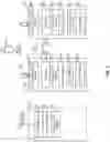 Fig. 05 - Wireless audio system for recording an audio information and method for using the same