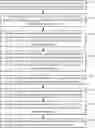 Fig. 01 - Special effect synchronization method, device, and storage medium