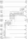 Fig. 12 - Data transmission method, apparatus, and device