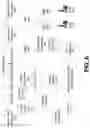 Fig. 07 - AUTOMATED CELL PARAMETER UPDATE IN CELLULAR NETWORKS