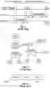 Fig. 02 - Beaconing in small wavelength wireless networks