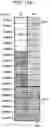 Fig. 11 - Communication apparatus and method for search space settings and monitoring
