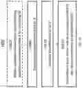 Fig. 17 - METHODS FOR CONTROLLING UE SYNCHRONIZATION AND CELL IDENTIFICATION IN NR