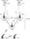 Fig. 01 - Method and apparatus for paging response in wireless communication system