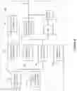 Fig. 05 - Intra-UE multiplexing in new radio systems