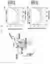 Fig. 20 - METHOD AND APPARATUS FOR TRANSMISSION AND RECEPTION USING NARROWBAND IN COMMUNICATIONS SYSTEM