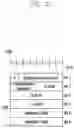 Fig. 22 - METHOD AND APPARATUS FOR TRANSMISSION AND RECEPTION USING NARROWBAND IN COMMUNICATIONS SYSTEM