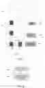 Fig. 05 - Method and device for PDCCH repetition in multi-TRP system